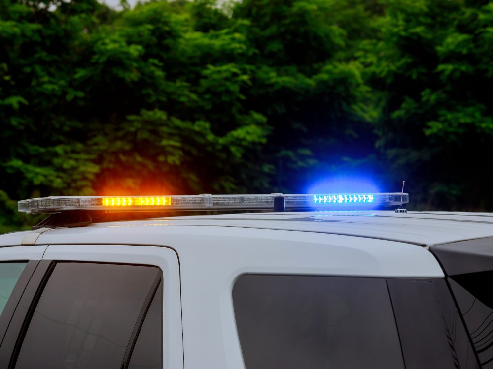 Document, Verify, Defer: The Immediate Steps When Authority Is in Question